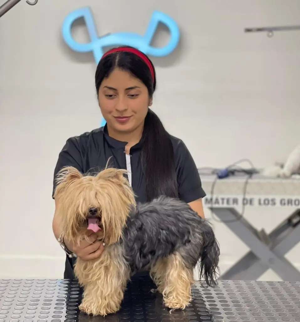 Silvia Acelas, estilista canina profesional en Floridablanca Santander